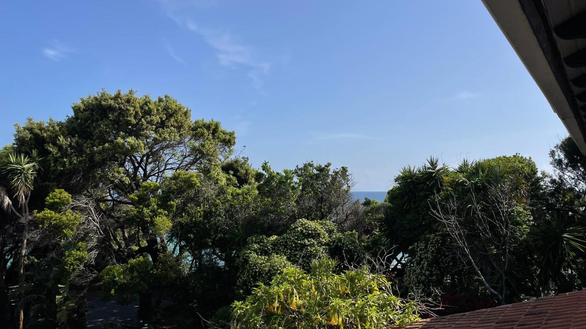 HalikounasAlonaki Bay公寓 外观 照片